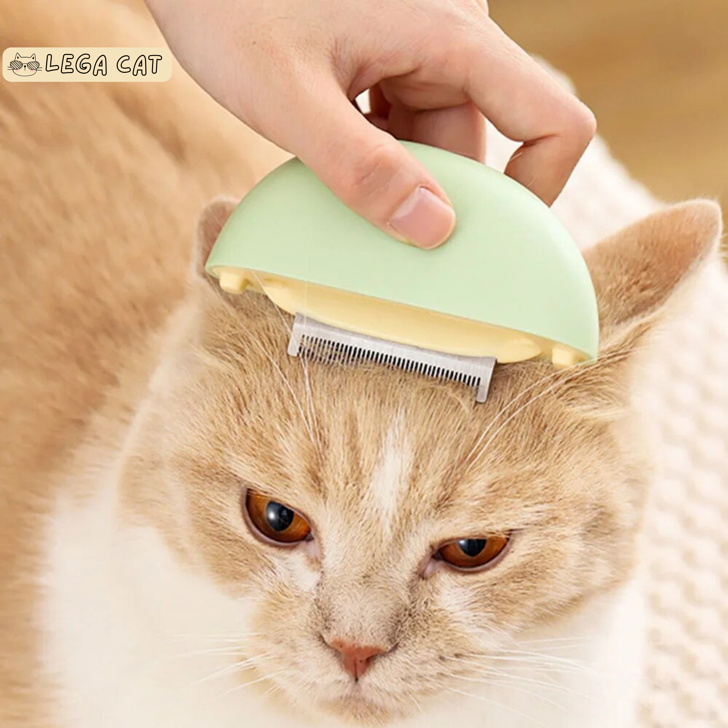 3 in 1, Shell-Shaped, Deshedding Comb, Durable, Prevent Knots, Mats, Cat and Kittens